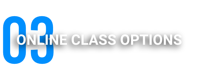online-class-options
